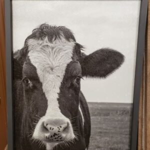 Canvas Wall Art