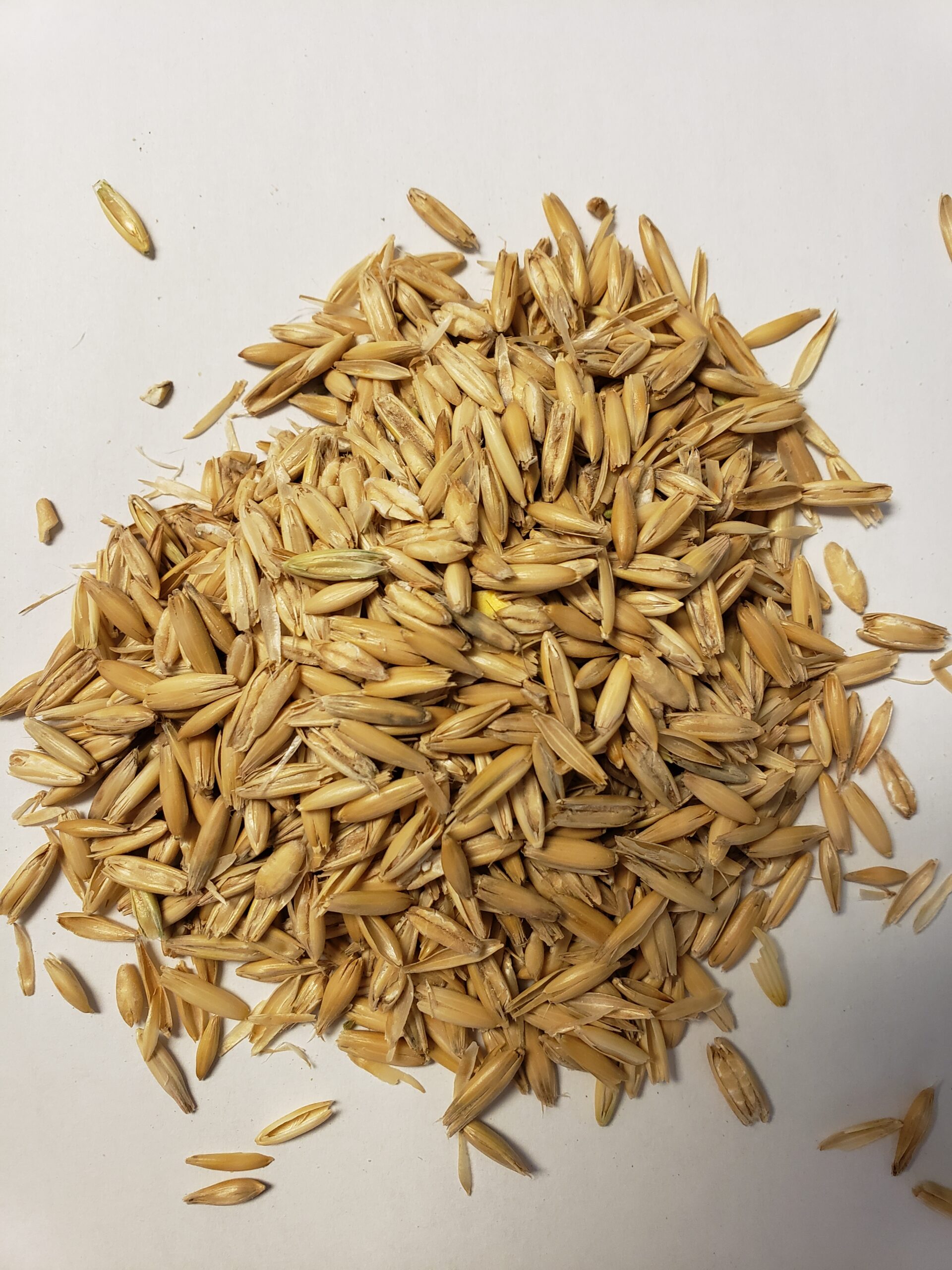 Rolled Oats Fehrway Feeds & Livestock Equipment